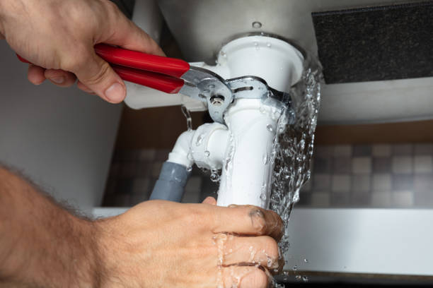 Best Local water damage restoration  in Northview, MI