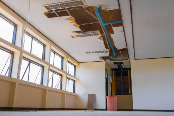 Best Water damage cleanup near me  in Northview, MI