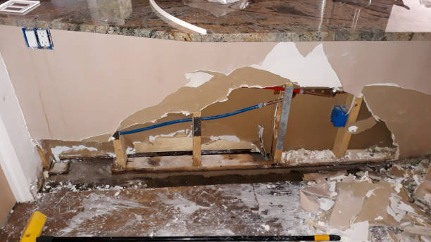 Best Flood damage cleanup  in Northview, MI