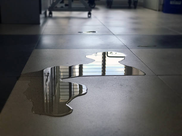 Best Commercial water damage restoration  in Northview, MI