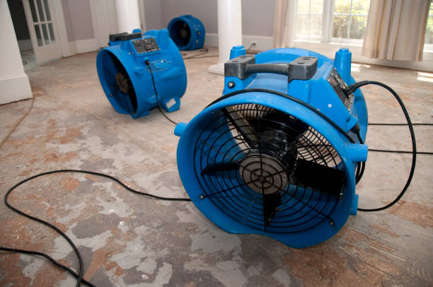 Best 24-hour water damage restoration  in Northview, MI