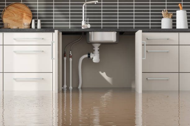 Best 24-hour water damage restoration  in Northview, MI