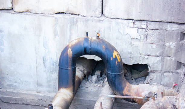 Best Sewage cleanup and water damage restoration  in Northview, MI